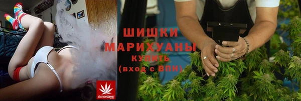 винт Арсеньев