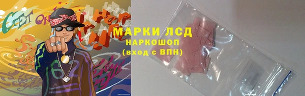 прущие грибы Армянск