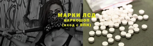 прущие грибы Армянск