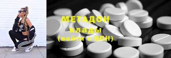 прущие грибы Армянск