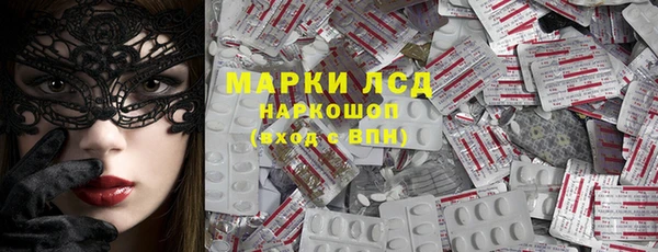прущие грибы Армянск