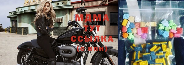 прущие грибы Армянск