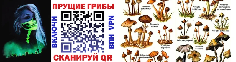 blacksprut онион  Островной  Псилоцибиновые грибы мухоморы 